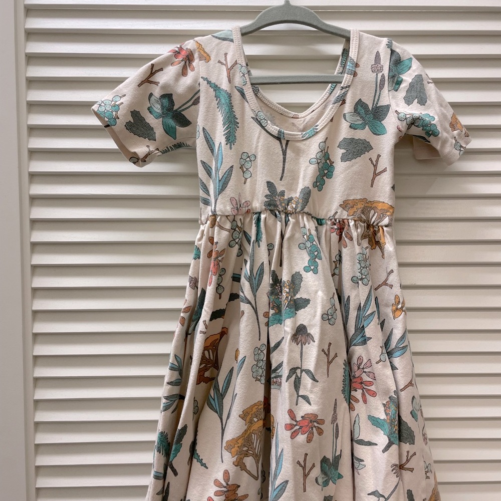 4T Alice & Ames dress